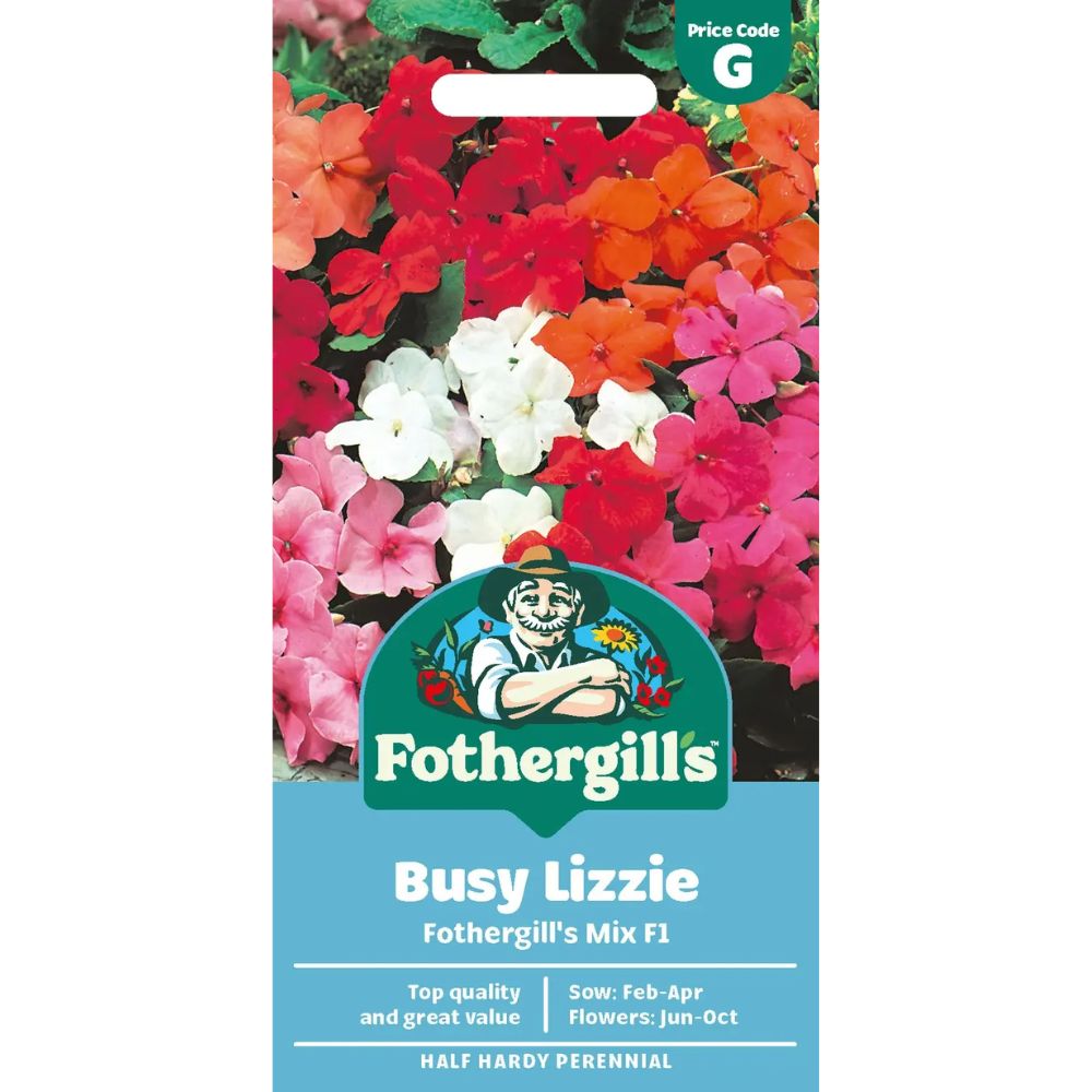 Mr Fothergill's Busy Lizzie Mr F's Mixed F1 Seeds