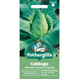 Mr Fothergill's Cabbage Offenham 2 (Flower Of Spring) Seeds - Old Railway Line Garden Centre