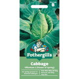 Mr Fothergill's Cabbage Offenham 2 (Flower Of Spring) Seeds - Old Railway Line Garden Centre