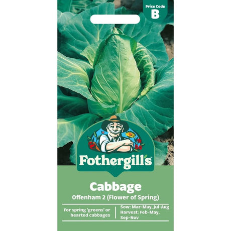 Mr Fothergill's Cabbage Offenham 2 (Flower Of Spring) Seeds - Old Railway Line Garden Centre