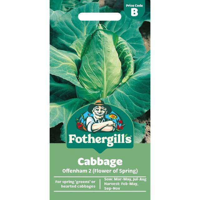 Mr Fothergill's Cabbage Offenham 2 (Flower Of Spring) Seeds - Old Railway Line Garden Centre