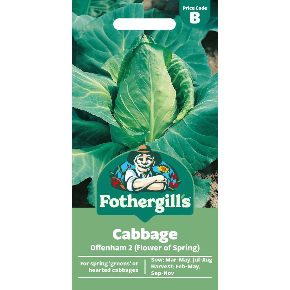 Mr Fothergill's Cabbage Offenham 2 (Flower Of Spring) Seeds