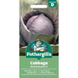 Mr Fothergill's Cabbage (Red) Romanov F1 Seeds - Old Railway Line Garden Centre