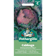 Mr Fothergill's Cabbage (Savoy) January King 3 Seeds - Old Railway Line Garden Centre