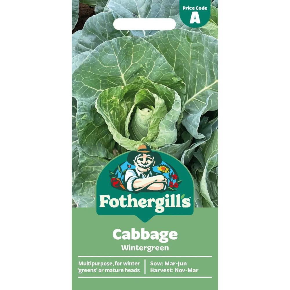 Mr Fothergill's Cabbage Wintergreen Seeds - Old Railway Line Garden Centre