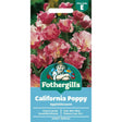 Mr Fothergill's Californian Poppy Appleblossom Pink Seeds - Old Railway Line Garden Centre