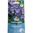 Mr Fothergill's Campanula Blue Seeds - Old Railway Line Garden Centre