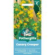 Mr Fothergill's Canary Creeper Seeds - Old Railway Line Garden Centre