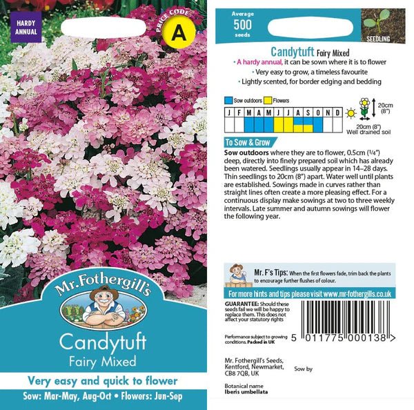 Mr Fothergills Candytuft Fairy Mixed Seeds - Old Railway Line Garden Centre
