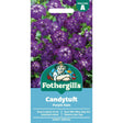 Mr Fothergill's Candytuft Purple Rain Flower Seeds - Old Railway Line Garden Centre