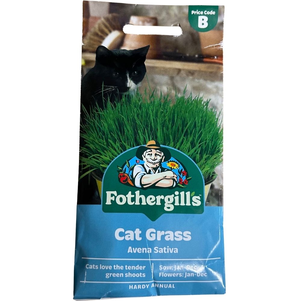 Mr Fothergill's Cat Grass Seeds