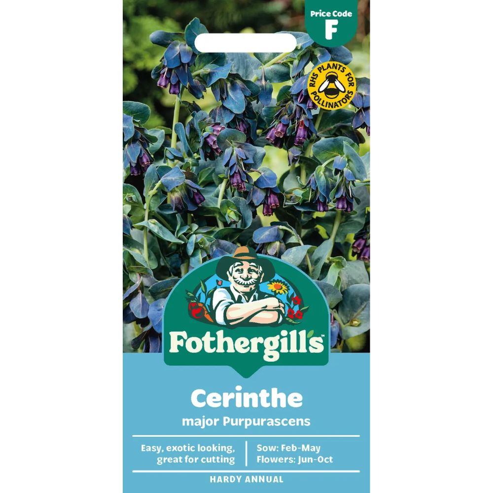 Mr Fothergills Cerinthe Major Purpurascens Seeds