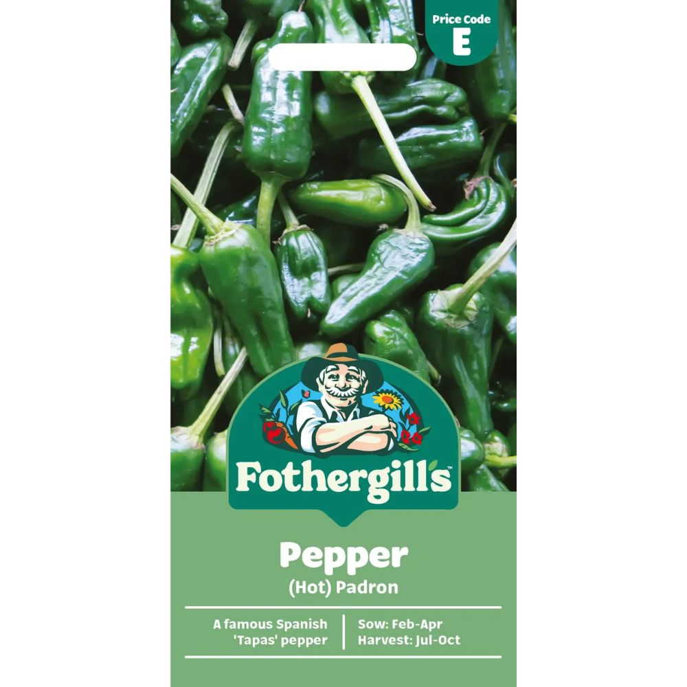 Mr Fothergill's Pepper (Chilli) Padron Seeds