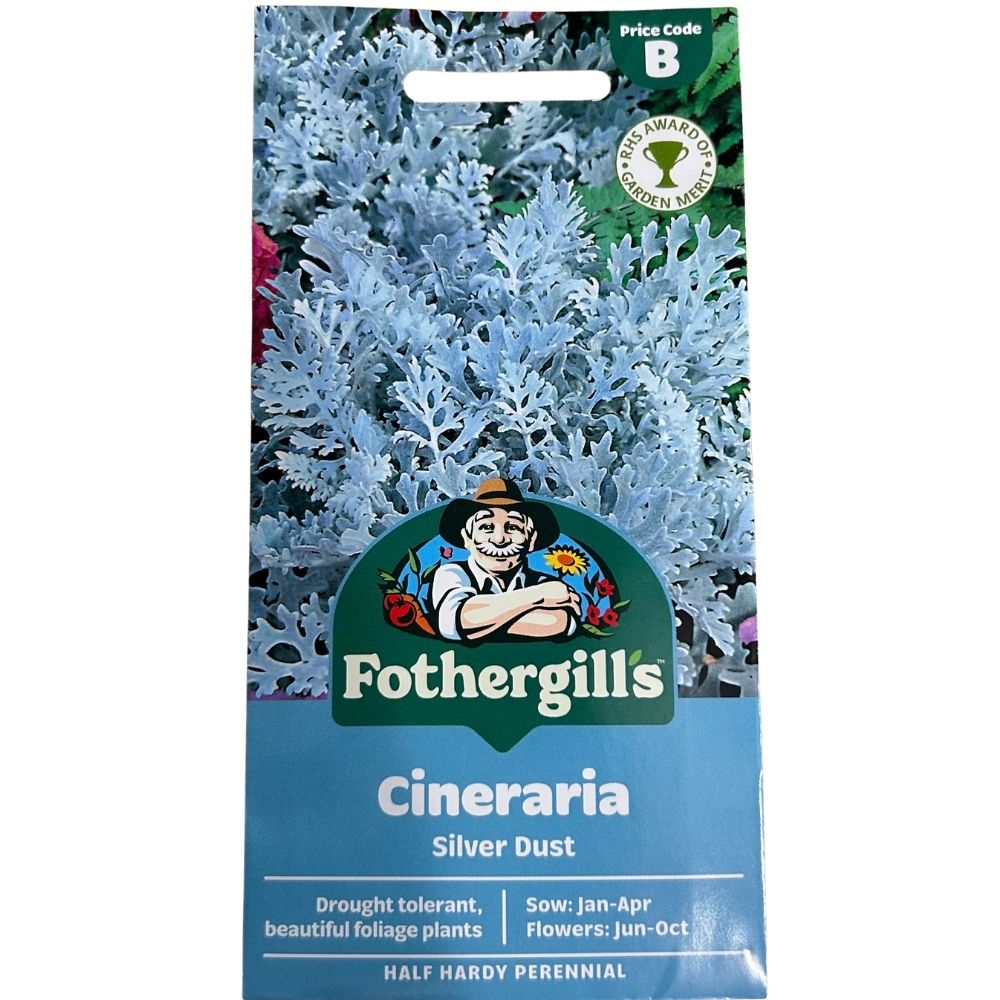 Mr Fothergill's Cineraria Silver Dust Seeds