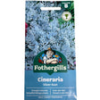 Mr Fothergill's Cineraria Silver Dust Seeds - Old Railway Line Garden Centre