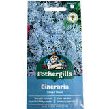 Mr Fothergill's Cineraria Silver Dust Seeds - Old Railway Line Garden Centre