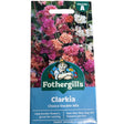 Mr Fothergill's Clarkia Choice Double Mix Seeds - Old Railway Line Garden Centre