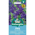 Mr Fothergill's Clary Blue Monday Flower Seeds - Old Railway Line Garden Centre