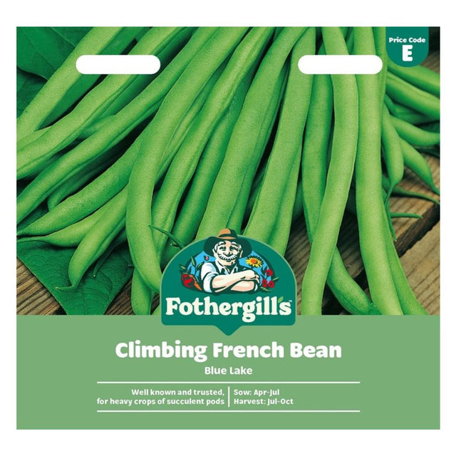 Mr Fothergill's Climbing French Bean Blue Lake Seeds - Old Railway Line Garden Centre