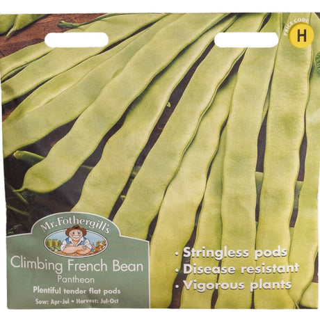Mr Fothergill's Climbing (French) Bean Sunshine Vegetable Seeds - Old Railway Line Garden Centre