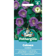 Mr Fothergill's Cobaea scandens Seeds - Old Railway Line Garden Centre
