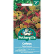 Mr Fothergill's Coleus Flame Dancers Seeds - Old Railway Line Garden Centre