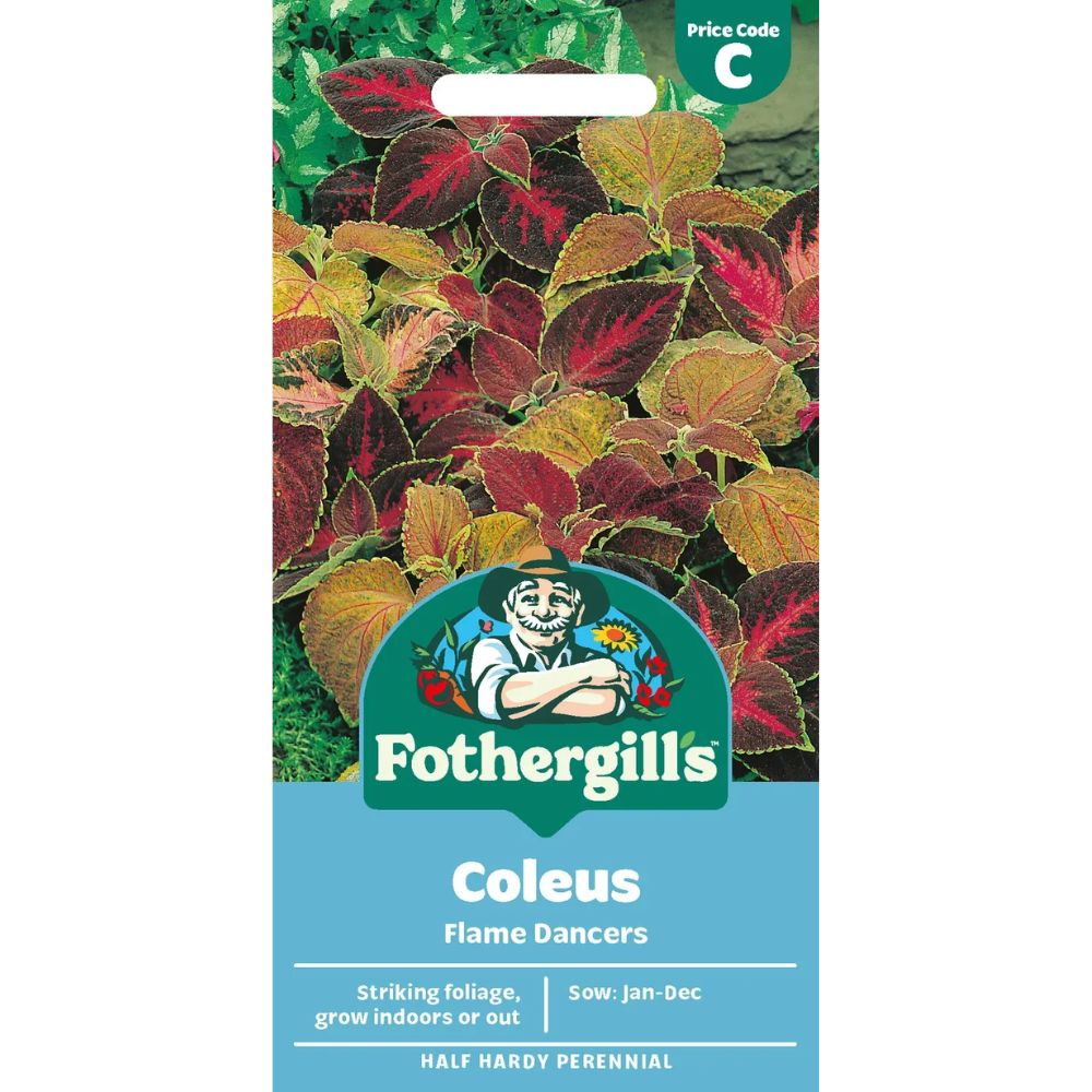 Mr Fothergill's Coleus Flame Dancers Seeds