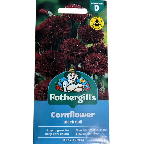Mr Fothergill's Cornflower Black Ball Seeds - Old Railway Line Garden Centre
