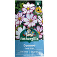 Mr Fothergill's Cosmos Candy Stripe Seeds - Old Railway Line Garden Centre