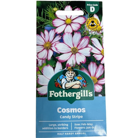 Mr Fothergill's Cosmos Candy Stripe Seeds - Old Railway Line Garden Centre