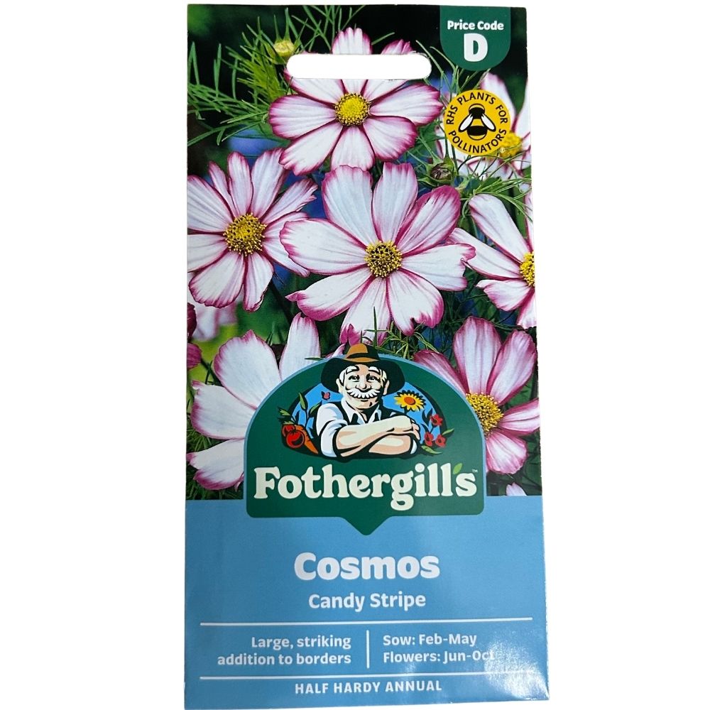 Mr Fothergill's Cosmos Candy Stripe Seeds
