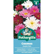 Mr Fothergills Cosmos Double Click Mixed Seeds - Old Railway Line Garden Centre