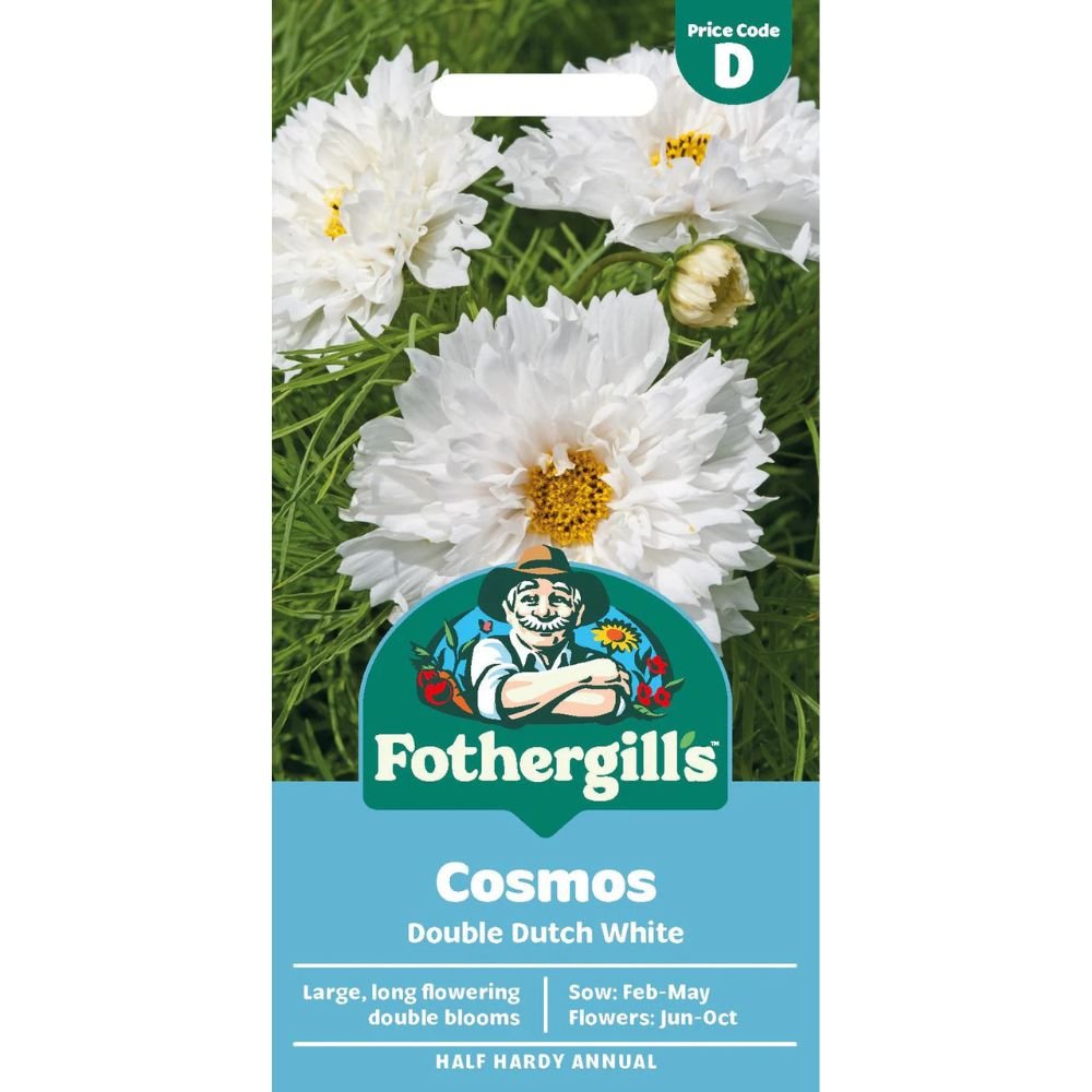 Mr Fothergills Cosmos Double Dutch White Seeds - Old Railway Line Garden Centre