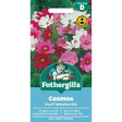 Mr Fothergill's Cosmos Dwarf Sensation Mixed Seeds - Old Railway Line Garden Centre