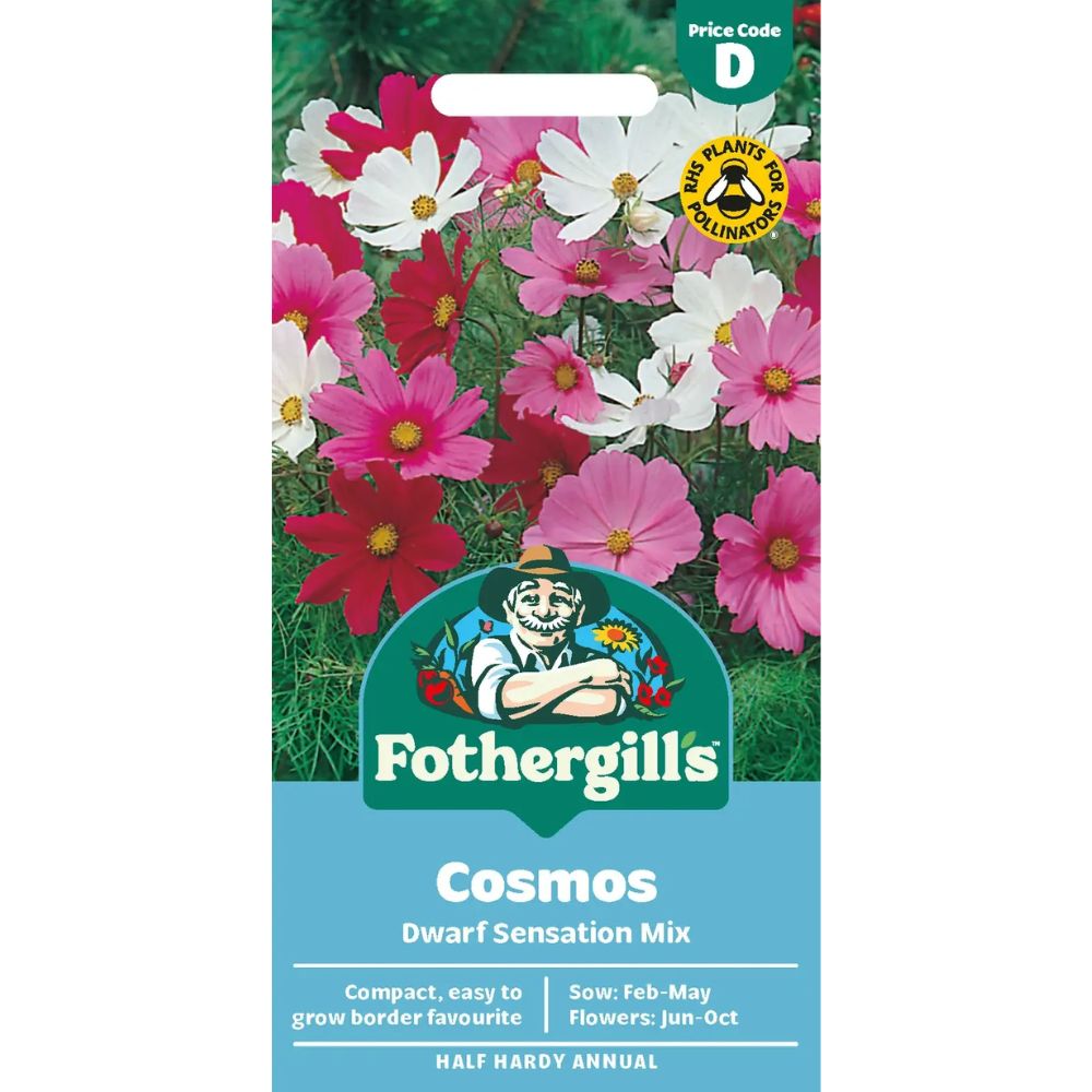 Mr Fothergill's Cosmos Dwarf Sensation Mixed Seeds