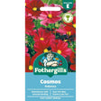 Mr Fothergill's Cosmos Rubenza Seeds - Old Railway Line Garden Centre