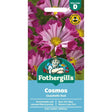 Mr Fothergill's Cosmos Seashells Red Seeds - Old Railway Line Garden Centre