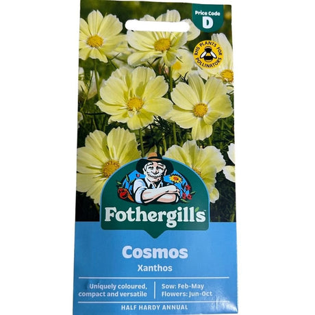 Mr Fothergill's Cosmos Xanthos Seeds - Old Railway Line Garden Centre
