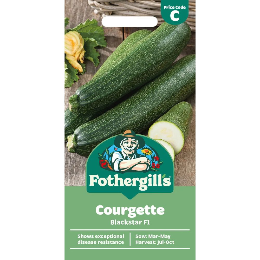 Mr Fothergill's Courgette Blackstar F1 Vegetable Seeds