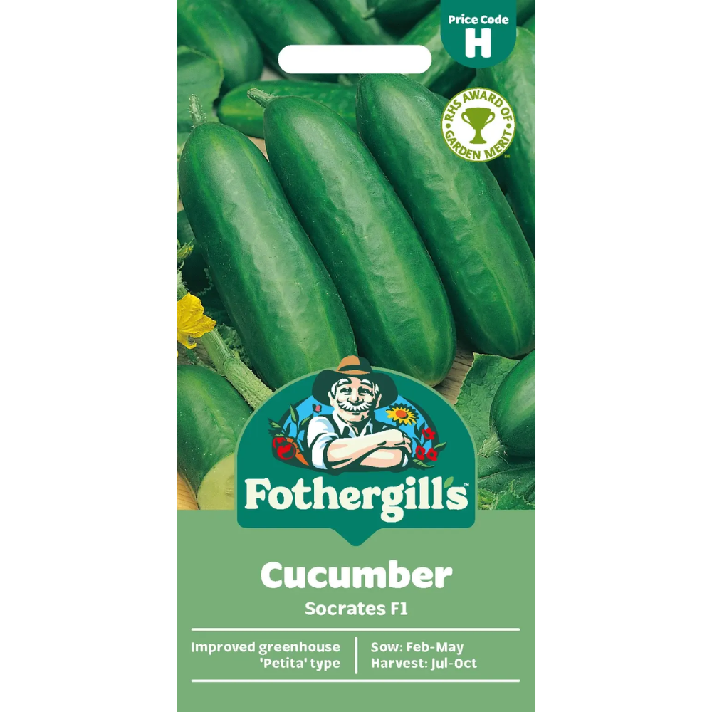 Mr Fothergill's Cucumber Socrates F1 Seeds