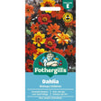 Mr Fothergill's Dahlia Bishop's Children Seeds - Old Railway Line Garden Centre