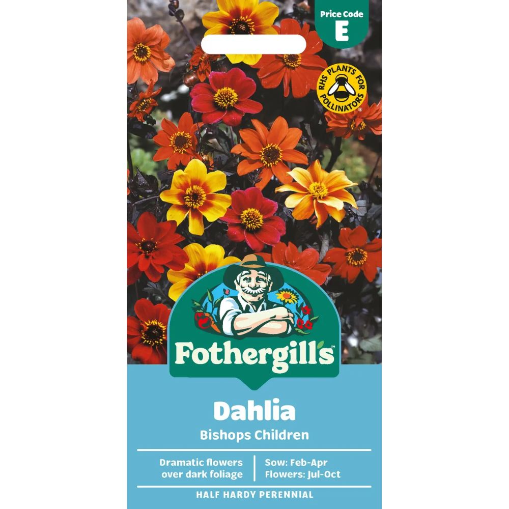 Mr Fothergill's Dahlia Bishop's Children Seeds