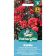 Mr Fothergill's Dahlia Black Forest Ruby Seeds - Old Railway Line Garden Centre