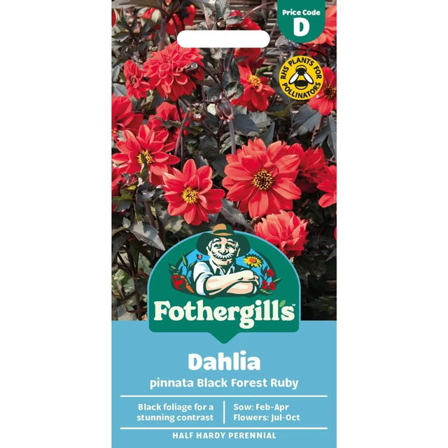 Mr Fothergill's Dahlia Black Forest Ruby Seeds - Old Railway Line Garden Centre