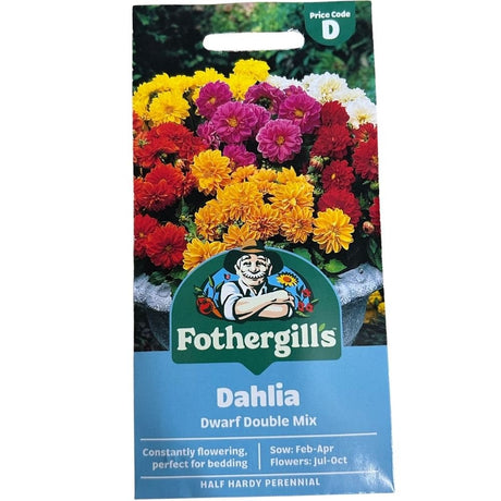 Mr Fothergill's Dahlia Dwarf Double Mixed Seeds - Old Railway Line Garden Centre