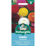 Mr Fothergill's Dahlia Pompon Mixed Seeds