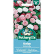Mr Fothergill's Daisy Goliath Mixed Seeds - Old Railway Line Garden Centre