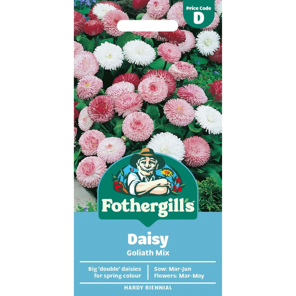 Mr Fothergill's Daisy Goliath Mixed Seeds