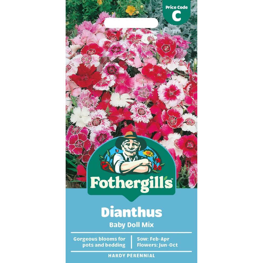 Mr Fothergill's Dianthus Baby Doll Mixed Seeds