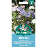 Mr Fothergill's Didiscus Coeruleus Mix Seeds